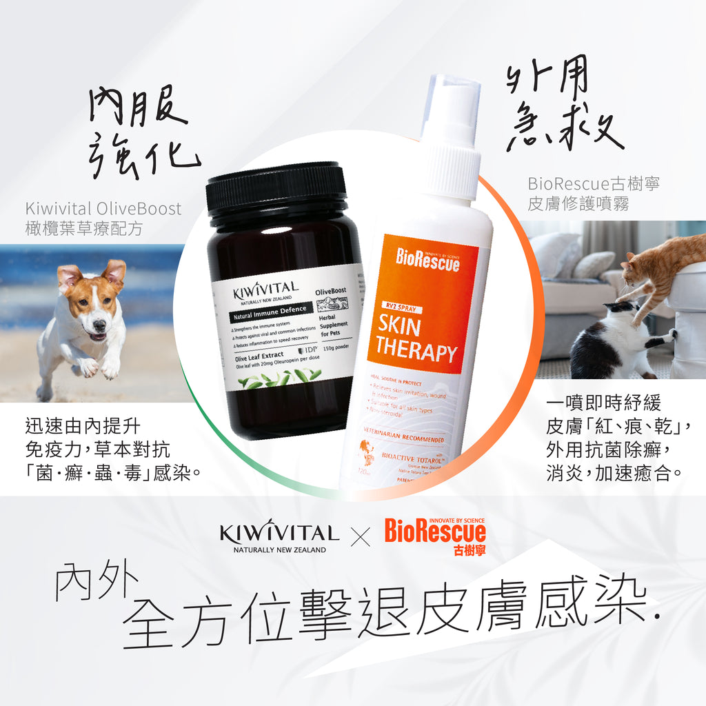 【 用家見證❗️內外·全方位擊退皮膚感染 ⚔️ Kiwivital🌿橄欖葉 ❎️ BioRescue🧡古樹寧 】